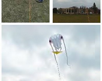 ST&BF POP UP Activities: A Good Time for Some Serious Fun!